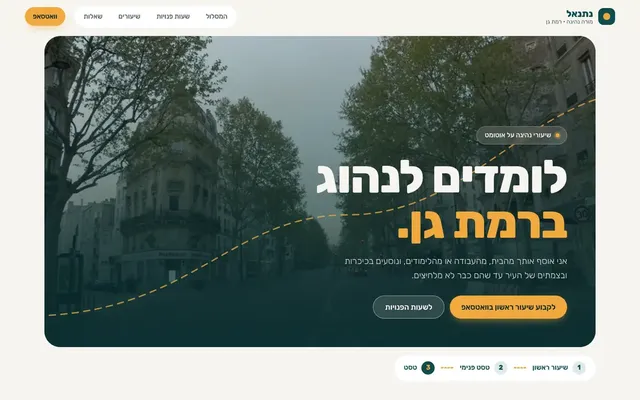 תצוגה מקדימה של קישור לאתר של נתנאל, מורה נהיגה